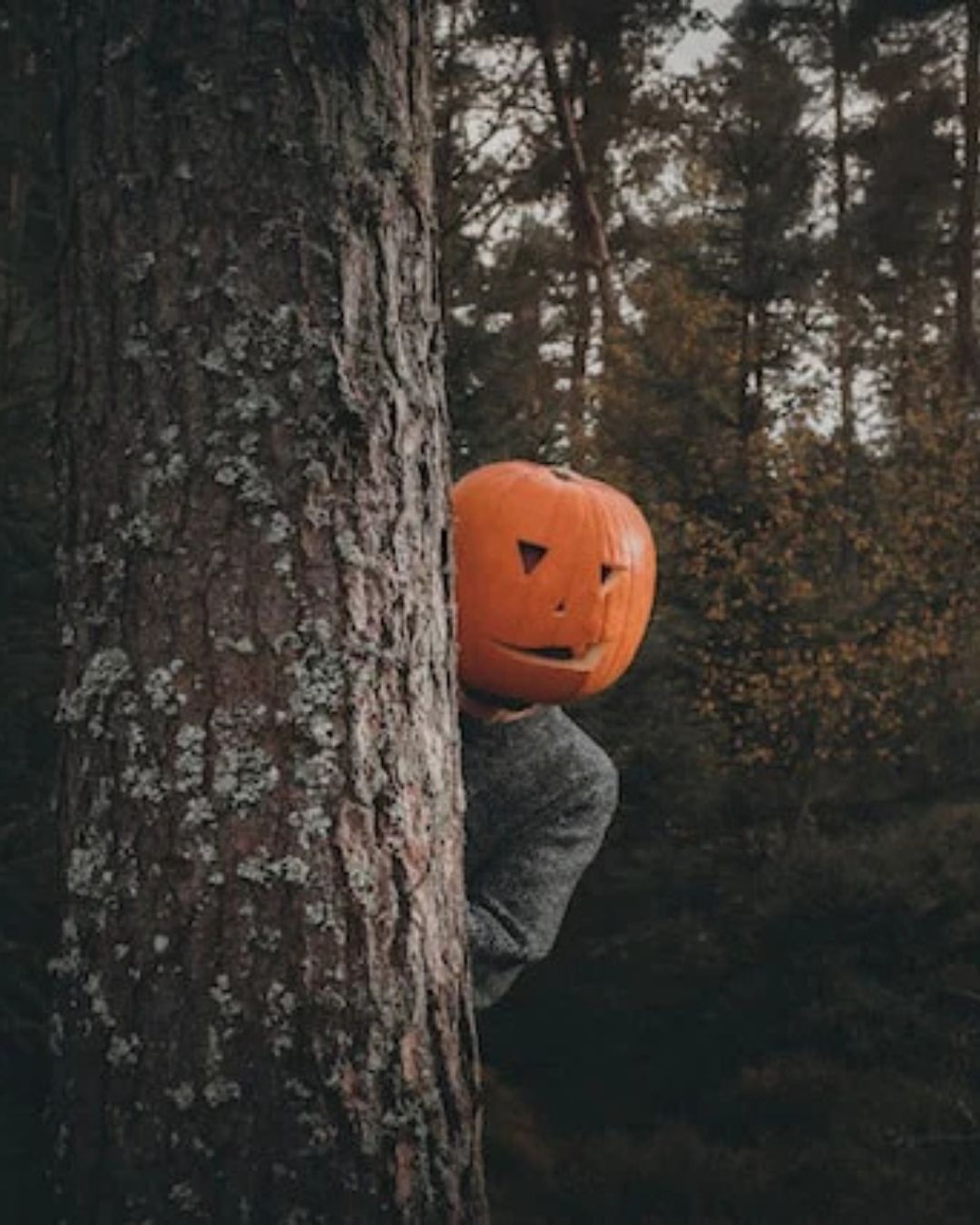 Spooky Season!